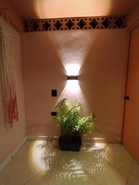 Hostal Casa Primavera Medellín Exteriér fotografie