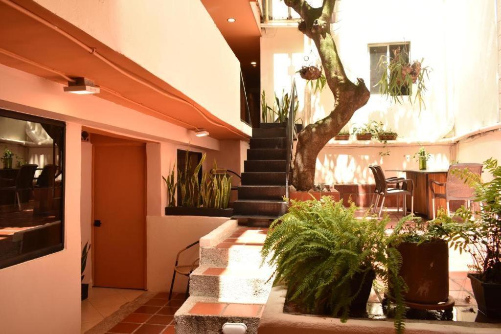 Hostal Casa Primavera Medellín Exteriér fotografie