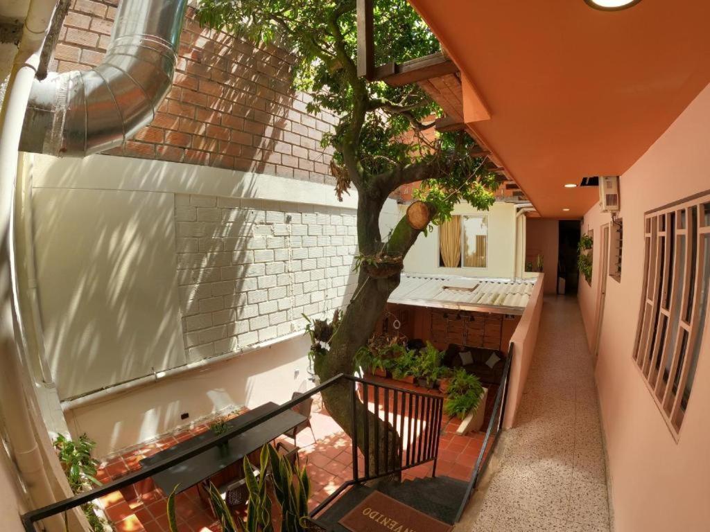 Hostal Casa Primavera Medellín Exteriér fotografie